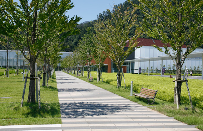 島根県立古代出雲歴史博物館 | 都市環境整備株式会社